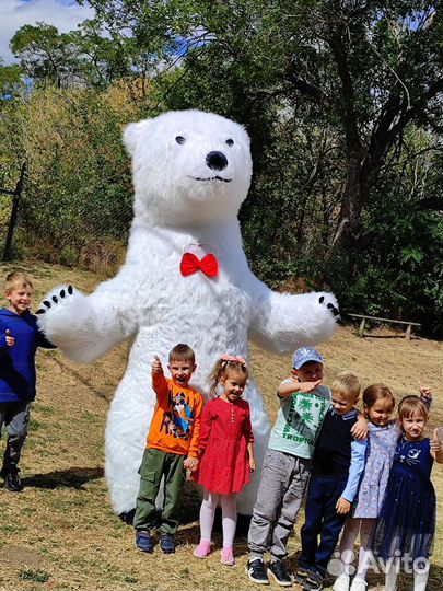 Аниматор, белый медведь, панда, ушастик и другие