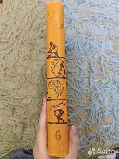 Детская энциклопедия