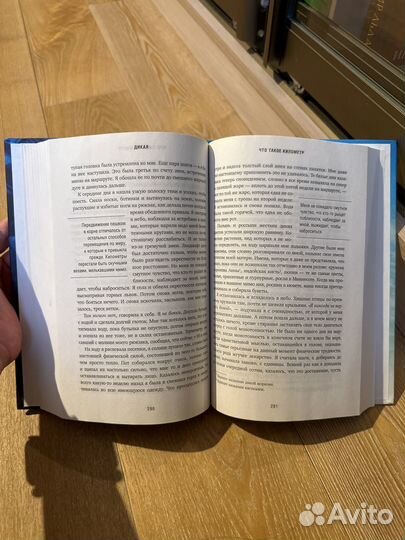 Дикая Шерил Стрэйд