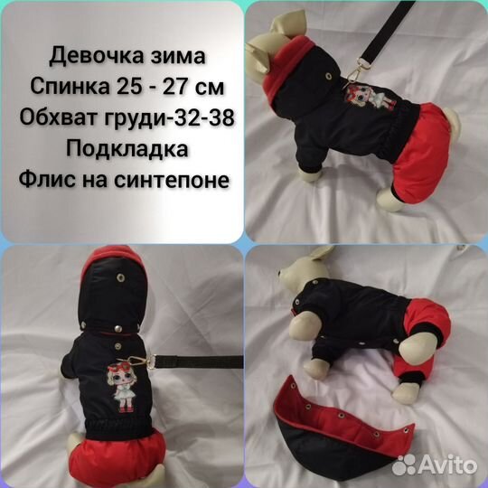 Одежда для собак