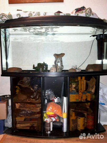 Аквариум