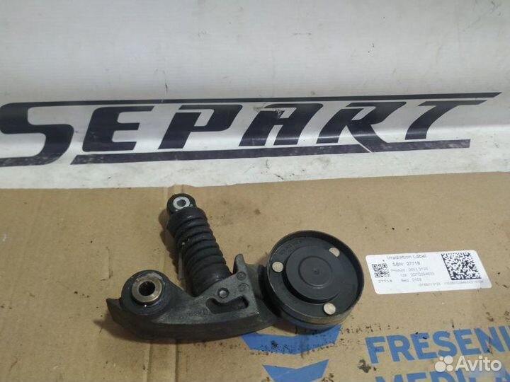 Натяжитель ремня генератора Audi A8 D3 BVJ