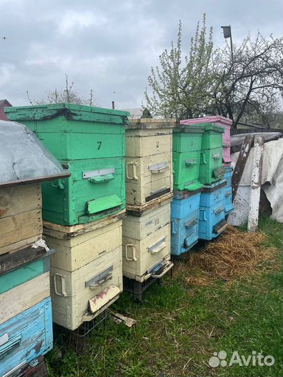 Улей для пчел бу