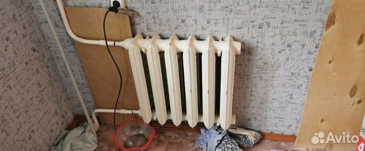 Набор и перевод текста с английского языка