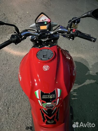 Cagiva raptor suzuki sv