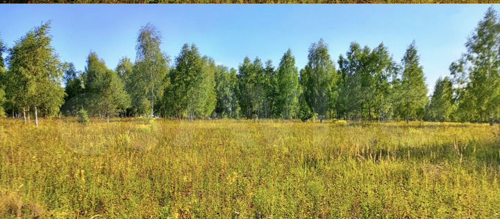 Участок 12,7 сот. (СНТ, ДНП)