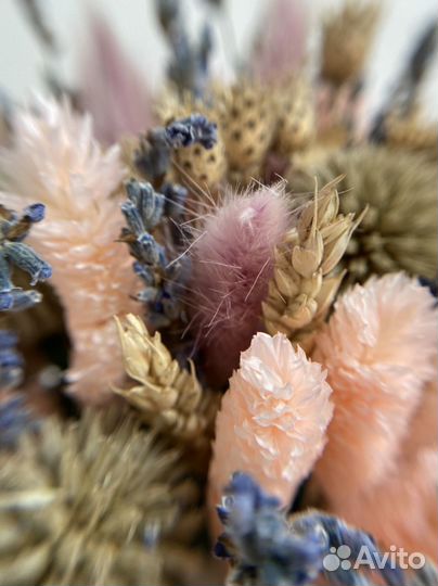 Букет из сухоцветов в кашпо