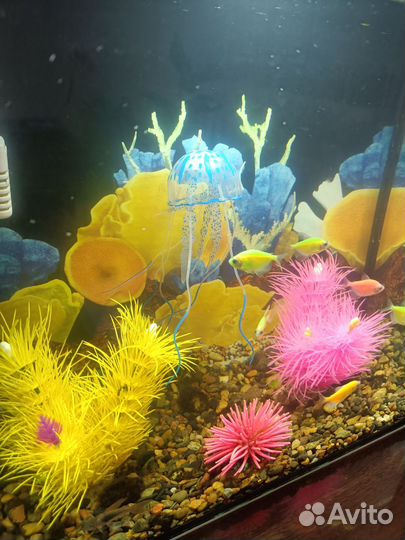 Аквариум 25л со всем содержимым