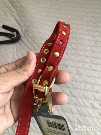 Ошейник для маленькой собаки