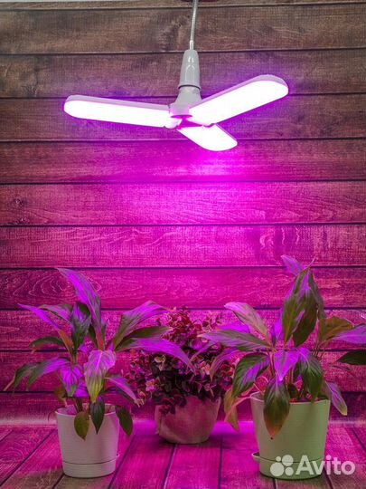 Фитолампа для растений uniel LED-P65-24W