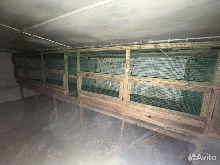 Клетки для цыплят