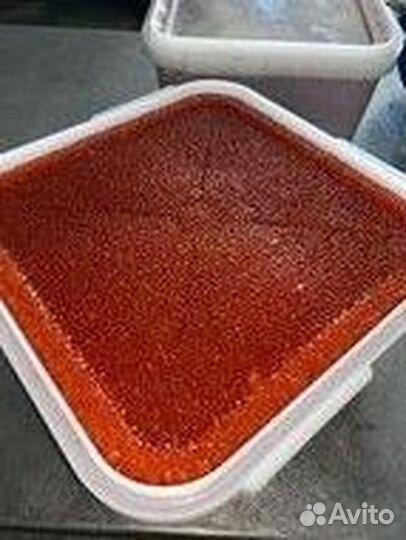 Красная Икра в банках по 500г парт V2024-R-9589