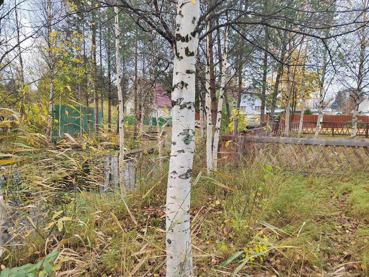 Участок 8 сот. (СНТ, ДНП)