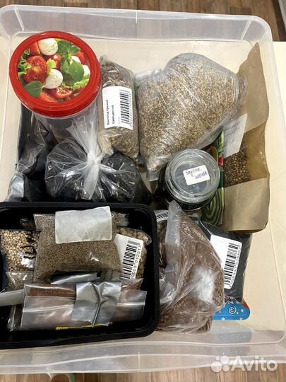 Семена для микрозелени