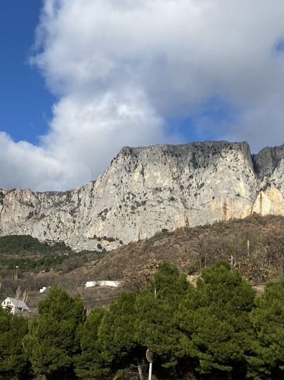 Комната 24 м² в 1-к., 1/1 эт.