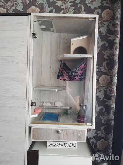 Витрина для шиншиллы