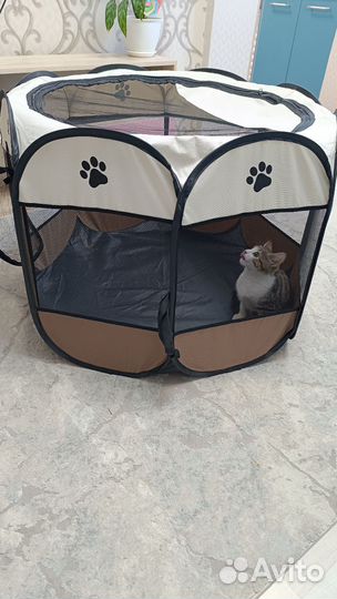 Вольер для кошек в квартиру