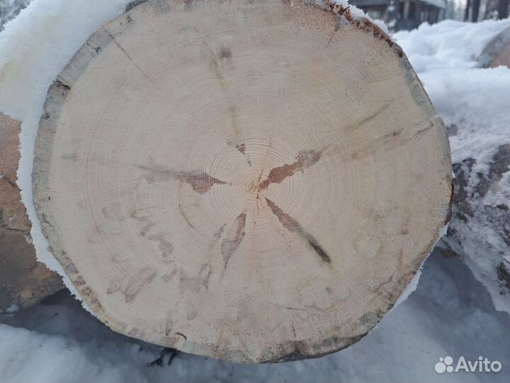Бревно кругляк