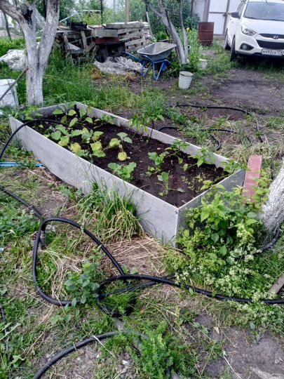 Дача 36 м² на участке 4,7 сот.