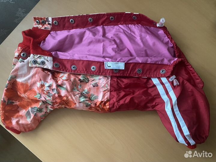 Одежда для собак