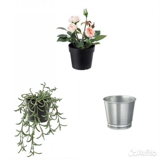 Фейка Роза и Крестовник IKEA и кашпо