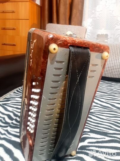 Гармонь Беларусь