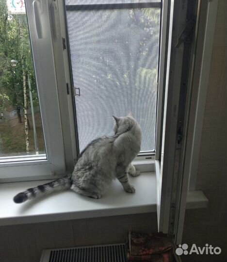 Москитная сетка антикошка