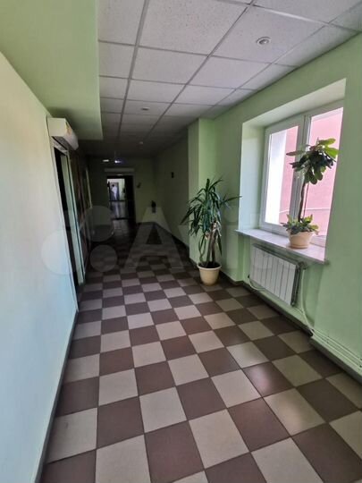 Свободного назначения, 391.2 м²