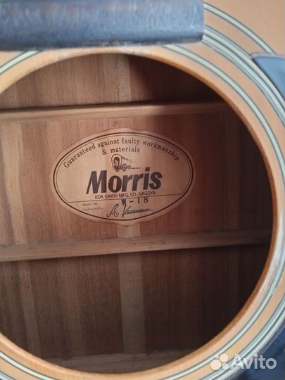 Акустическая гитара morris W18