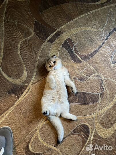 Мальчик ищет девочку