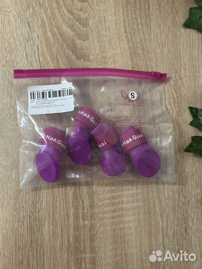 Обувь для маленьких собак