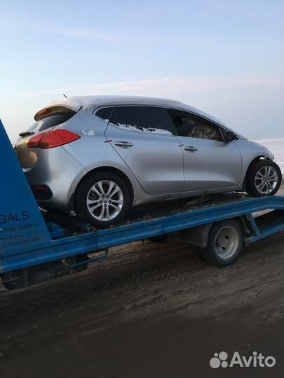 Выкуп битых и запретных авто