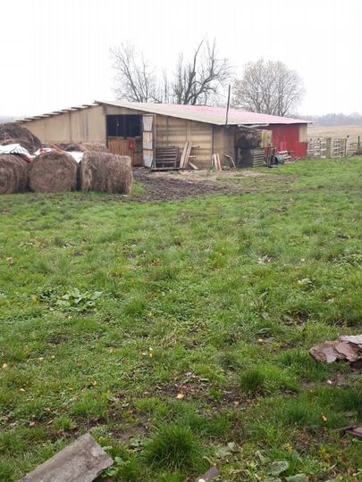 Дом 55 м² на участке 10 га