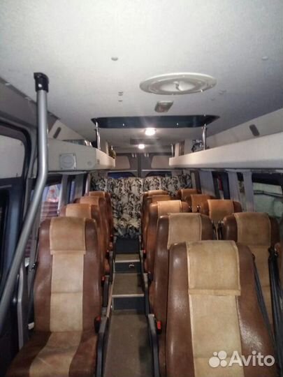 Автобус Заказ Аренда Перевозки Пассажиров