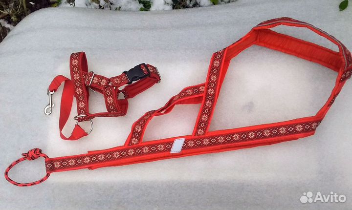 Шлейки ездовые