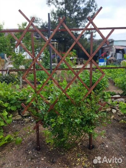 Шпалера садовая