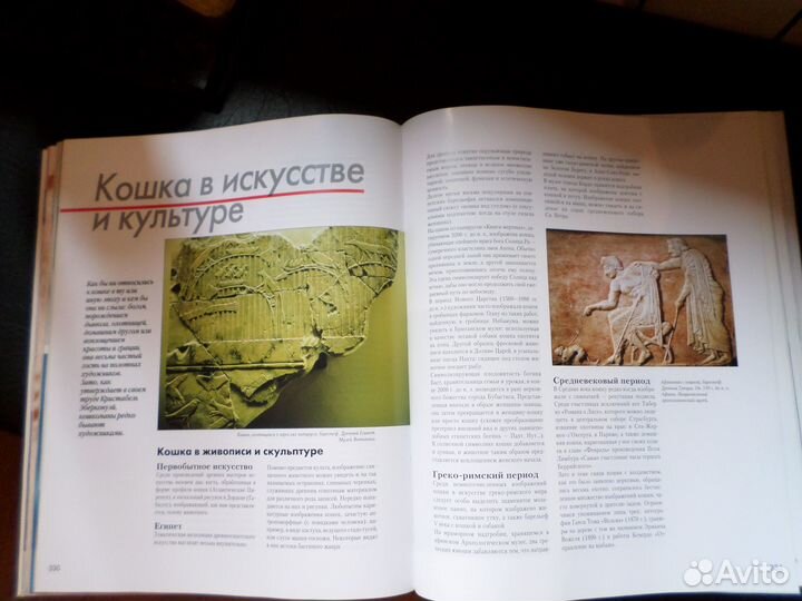 Энциклопедия кошки