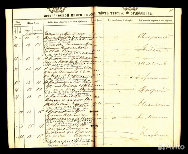 Составление родословной. Поиск предков. Архивы