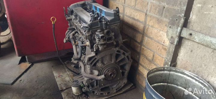 Двигатель Ford Focus 2.0