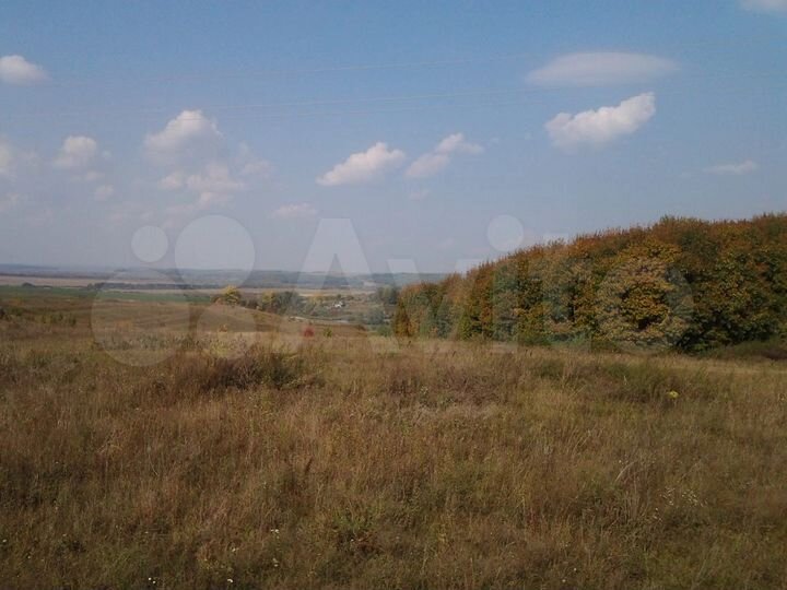 Участок 22 сот. (ИЖС)