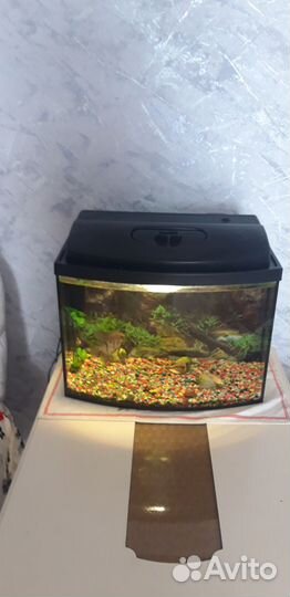 Аквариум