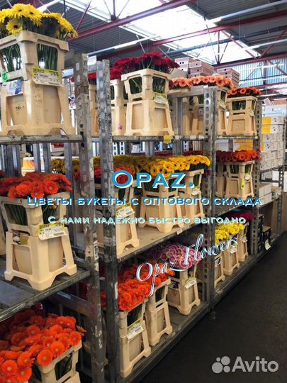 101 роза 51 роза 25 роз