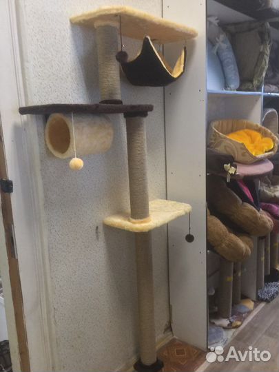 Комплексы настенные с когтеточками и полками