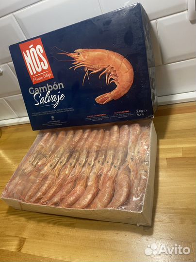 Лангустины креветка L1, L2