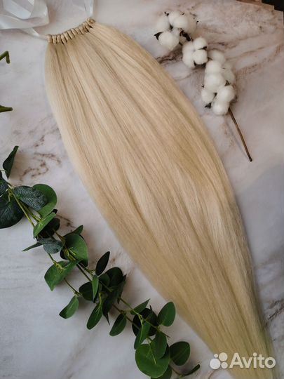 Афрохвост на резинке или на ленте