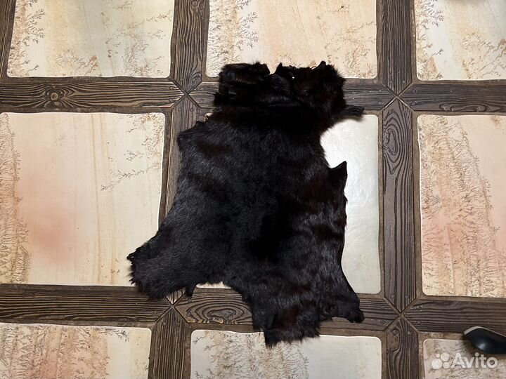 Сурок шкуры сырье