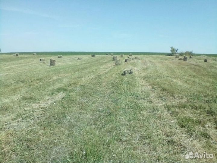 Сено луговое в тюках