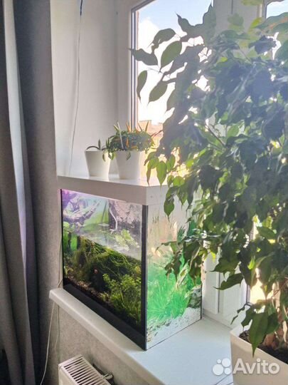 Аквариум