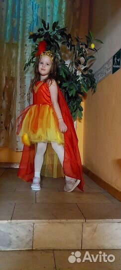 Костюм жар птица