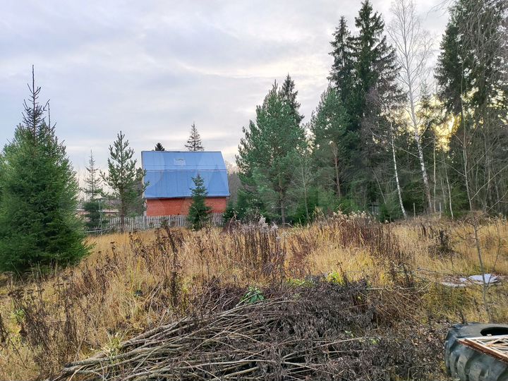 Участок 12 сот. (СНТ, ДНП)